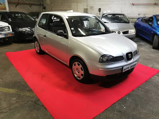 Autos Crozet à Firminy